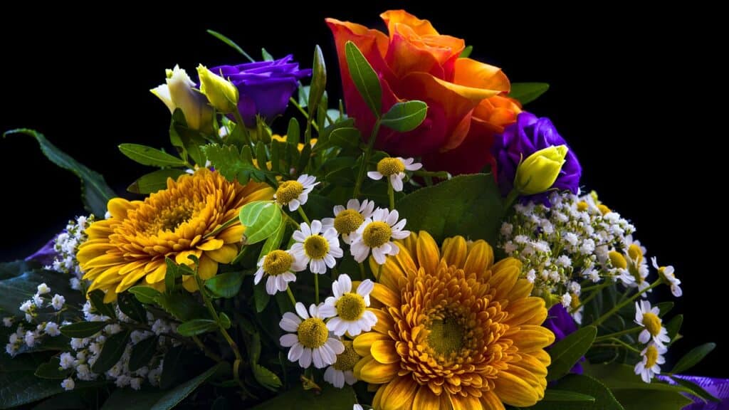 bunch of flowers, blossoms, valentine's day-2498385.jpg